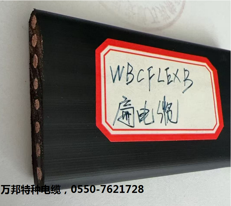 WBCFLEXB扁電纜.png